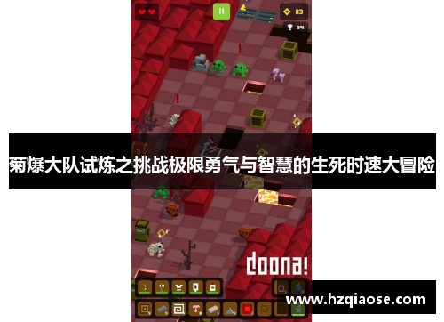 菊爆大队试炼之挑战极限勇气与智慧的生死时速大冒险